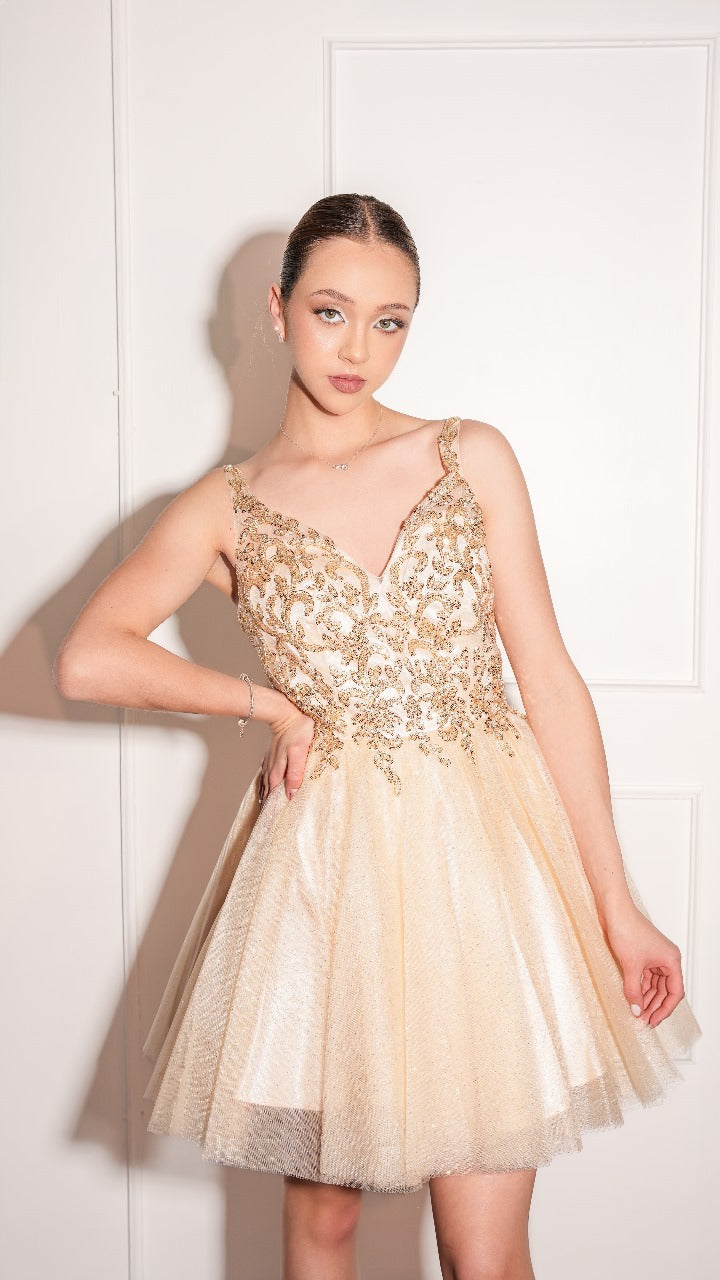 Vestido Corto De Corset Con Estampado Plateado