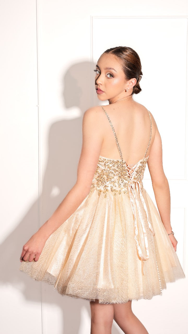 Vestido Corto De Corset Con Estampado Plateado