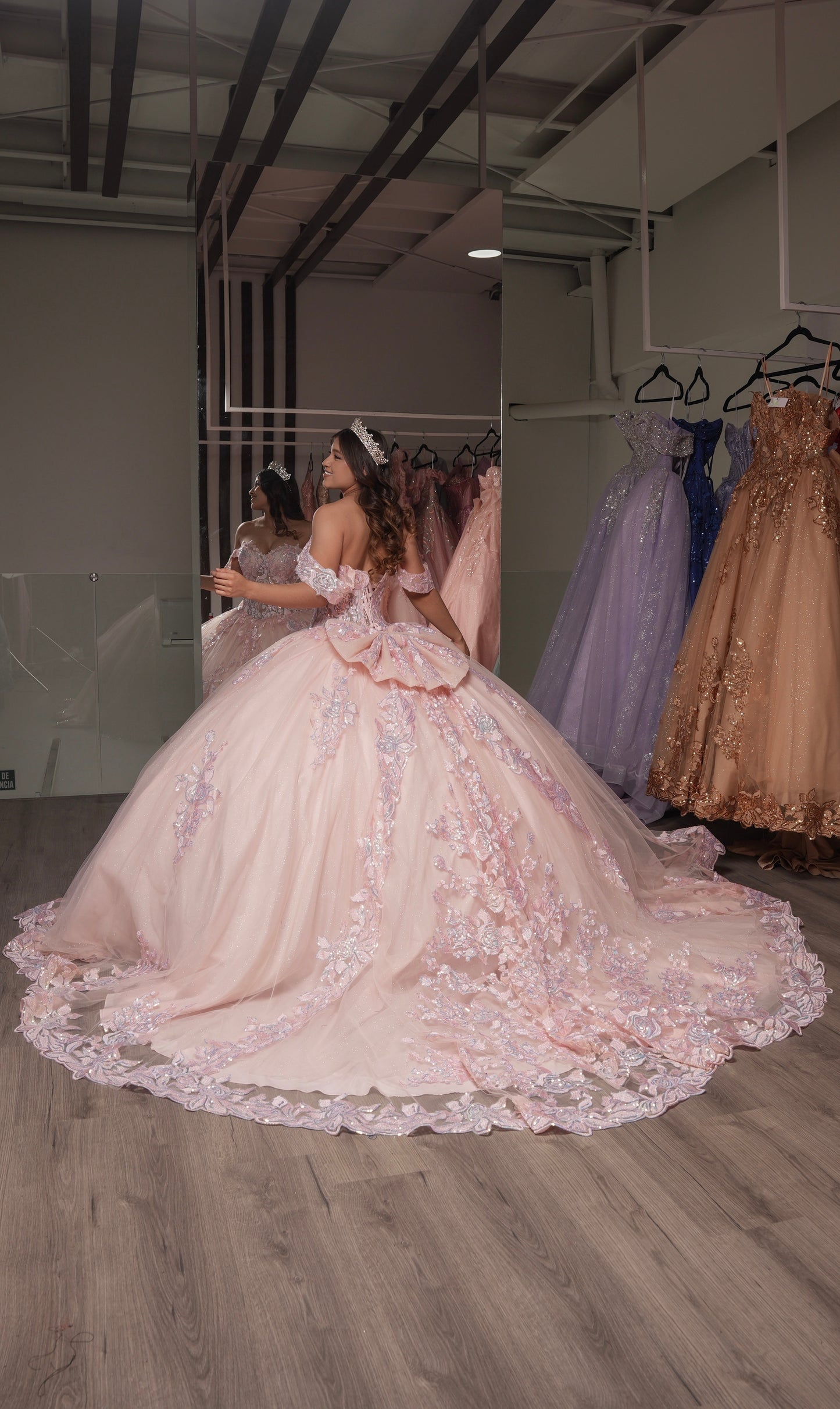 Vestido de XV Años Rosa Palo Flores Bordadas Mangas Campesinas (Renta)