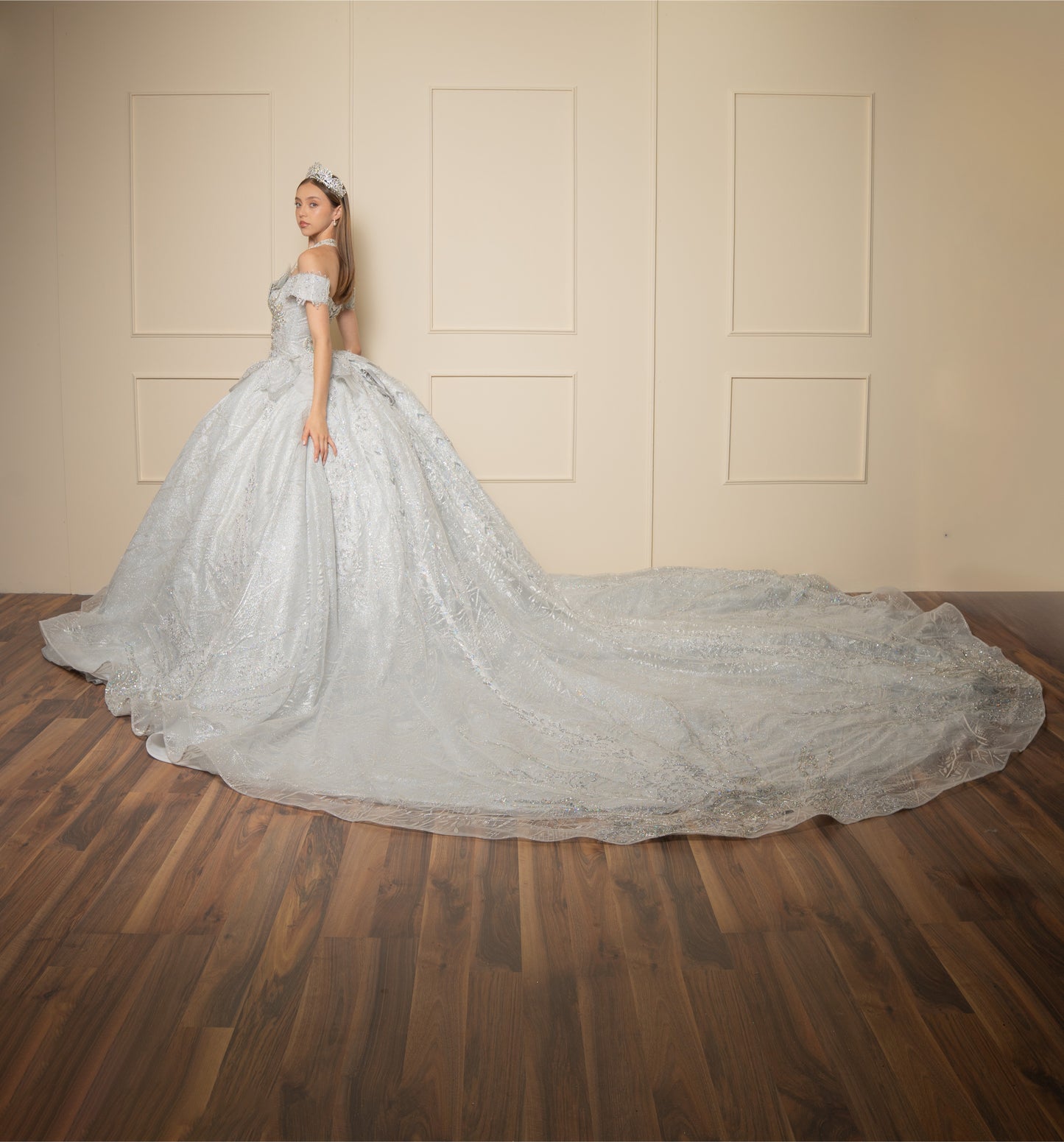 Vestido de XV Años  Vestido Plateado Glitter y Pedrería Manga Caída con Cauda