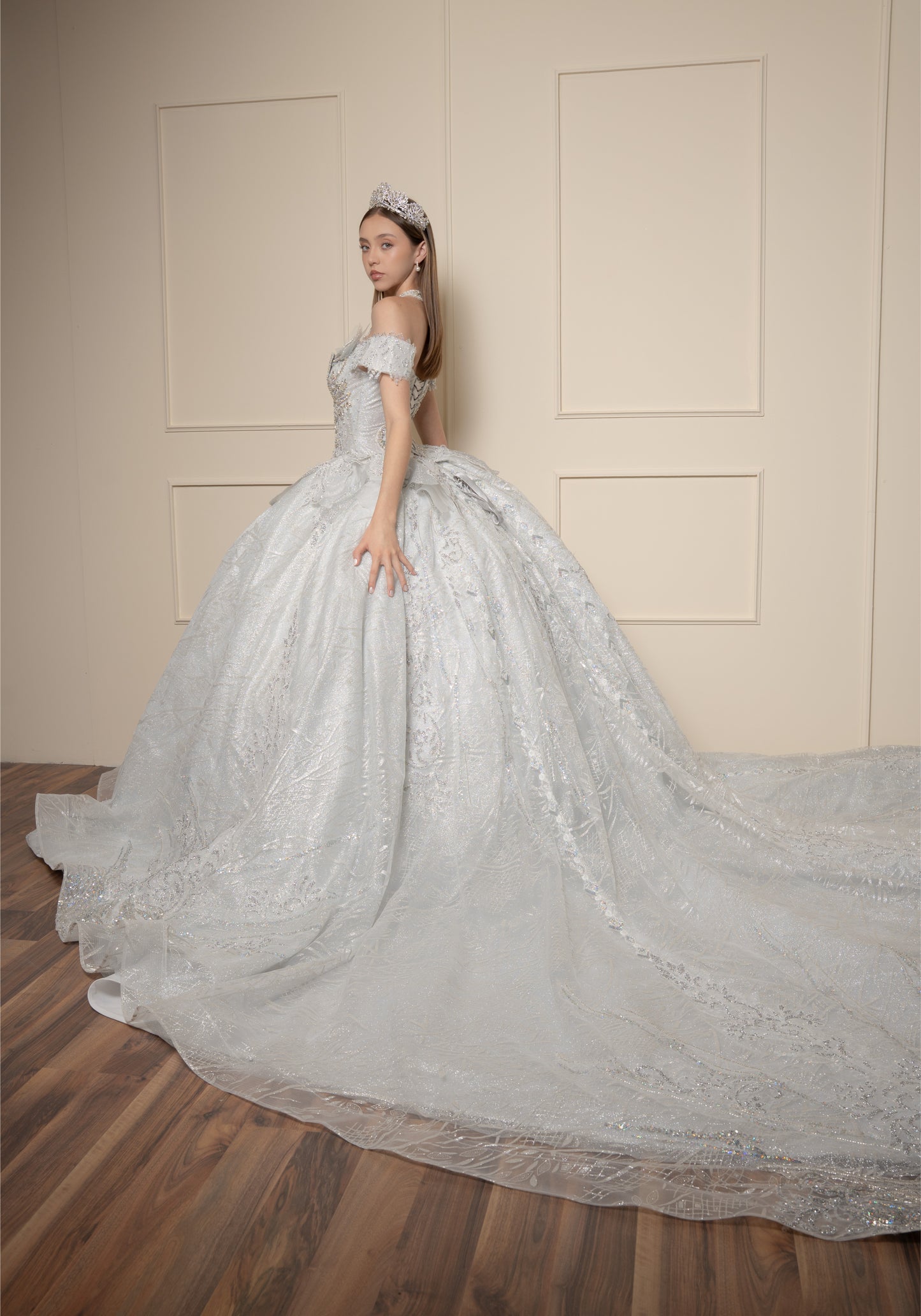 Vestido de XV Años  Vestido Plateado Glitter y Pedrería Manga Caída con Cauda