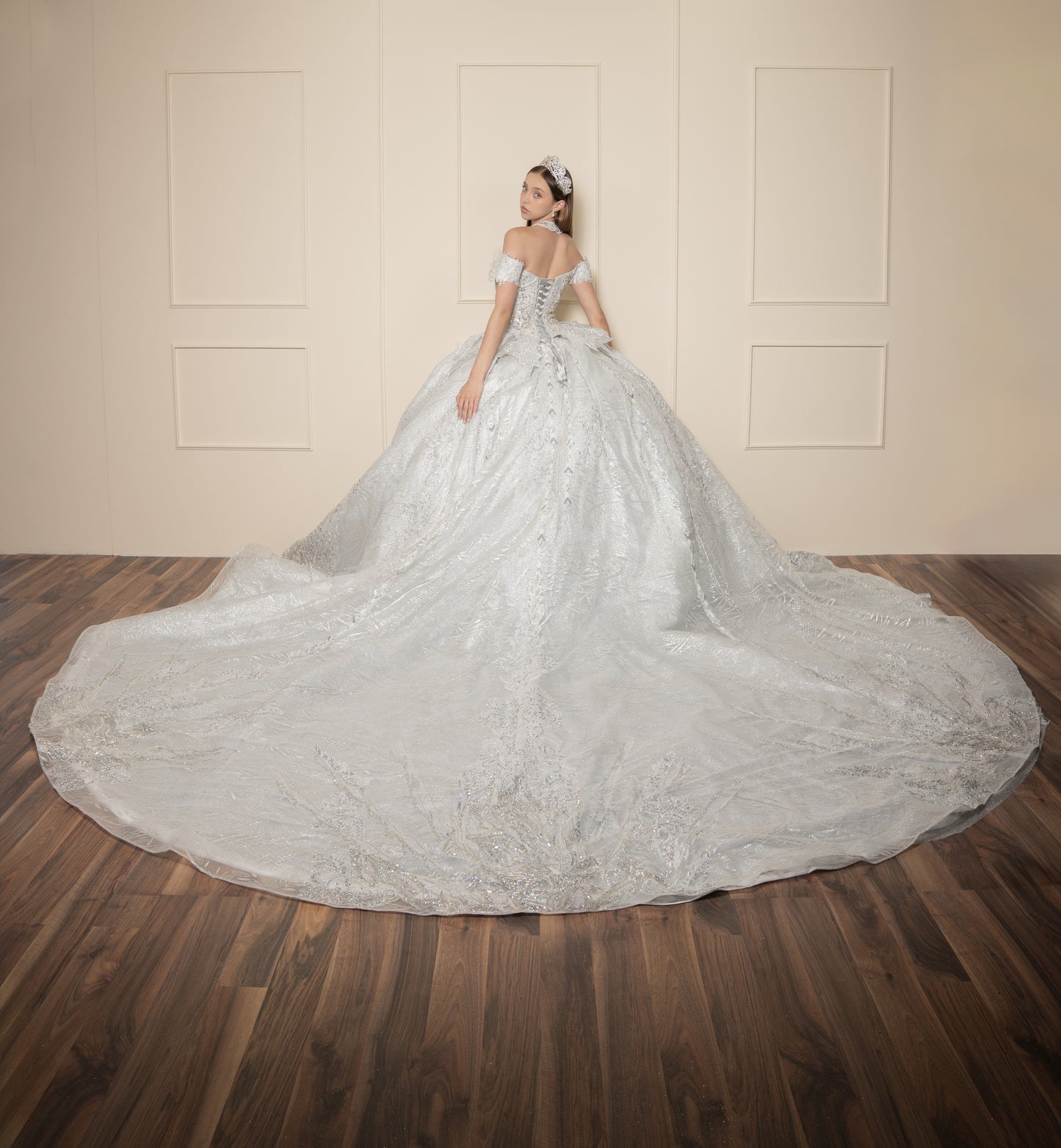 Vestido de XV Años  Vestido Plateado Glitter y Pedrería Manga Caída con Cauda