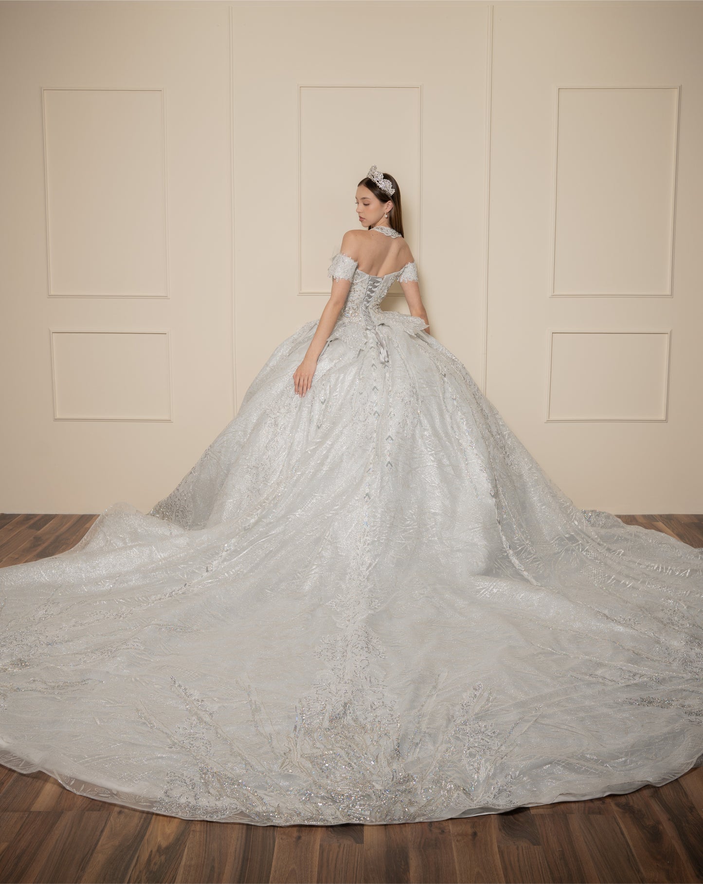 Vestido de XV Años  Vestido Plateado Glitter y Pedrería Manga Caída con Cauda