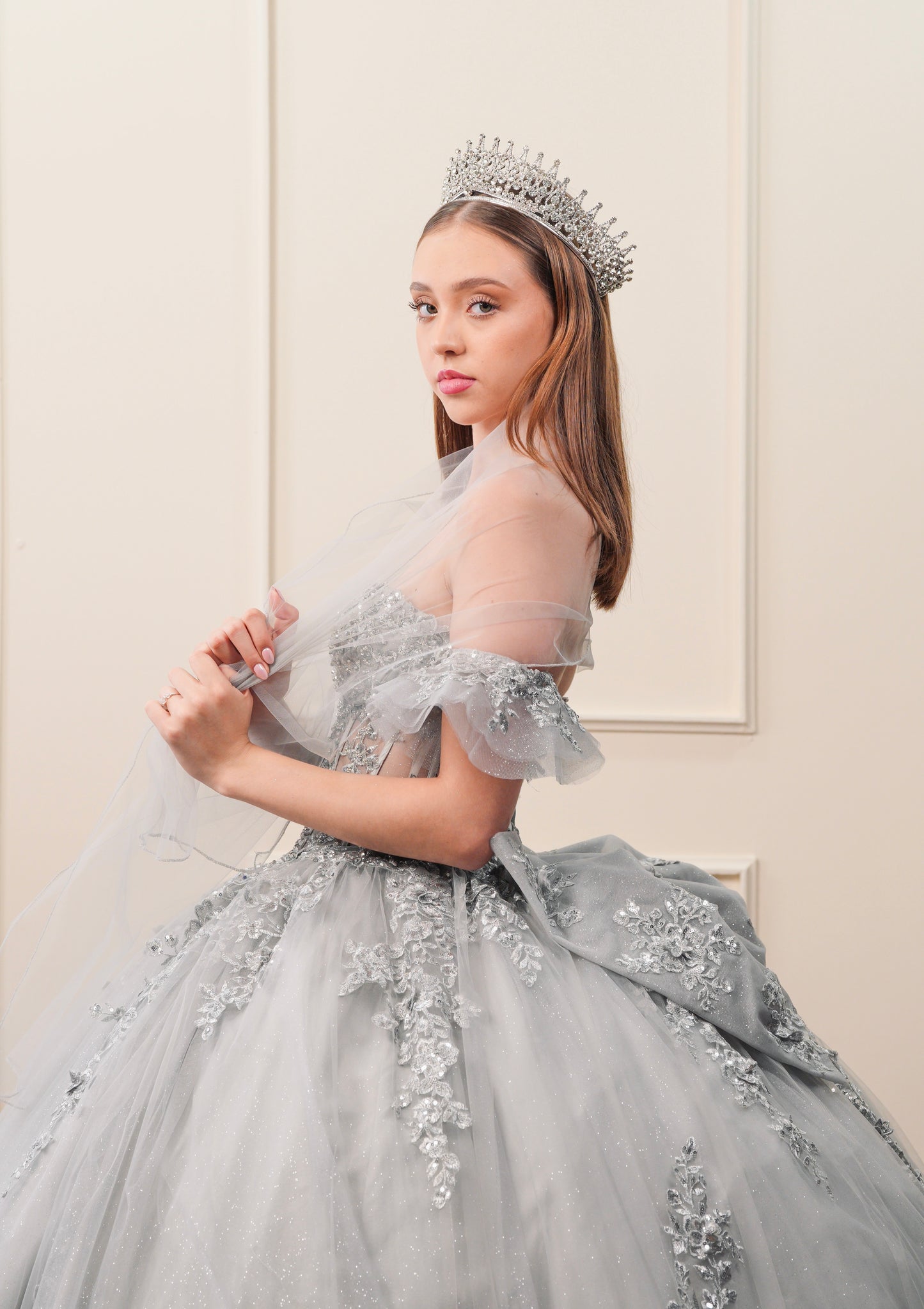 Vestido de XV Años Gris Bordado Plateado Mangas Amponas