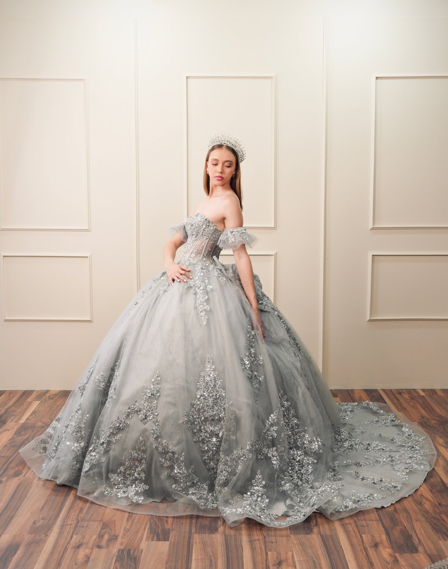 Vestido de XV Años Gris Bordado Plateado Mangas Amponas