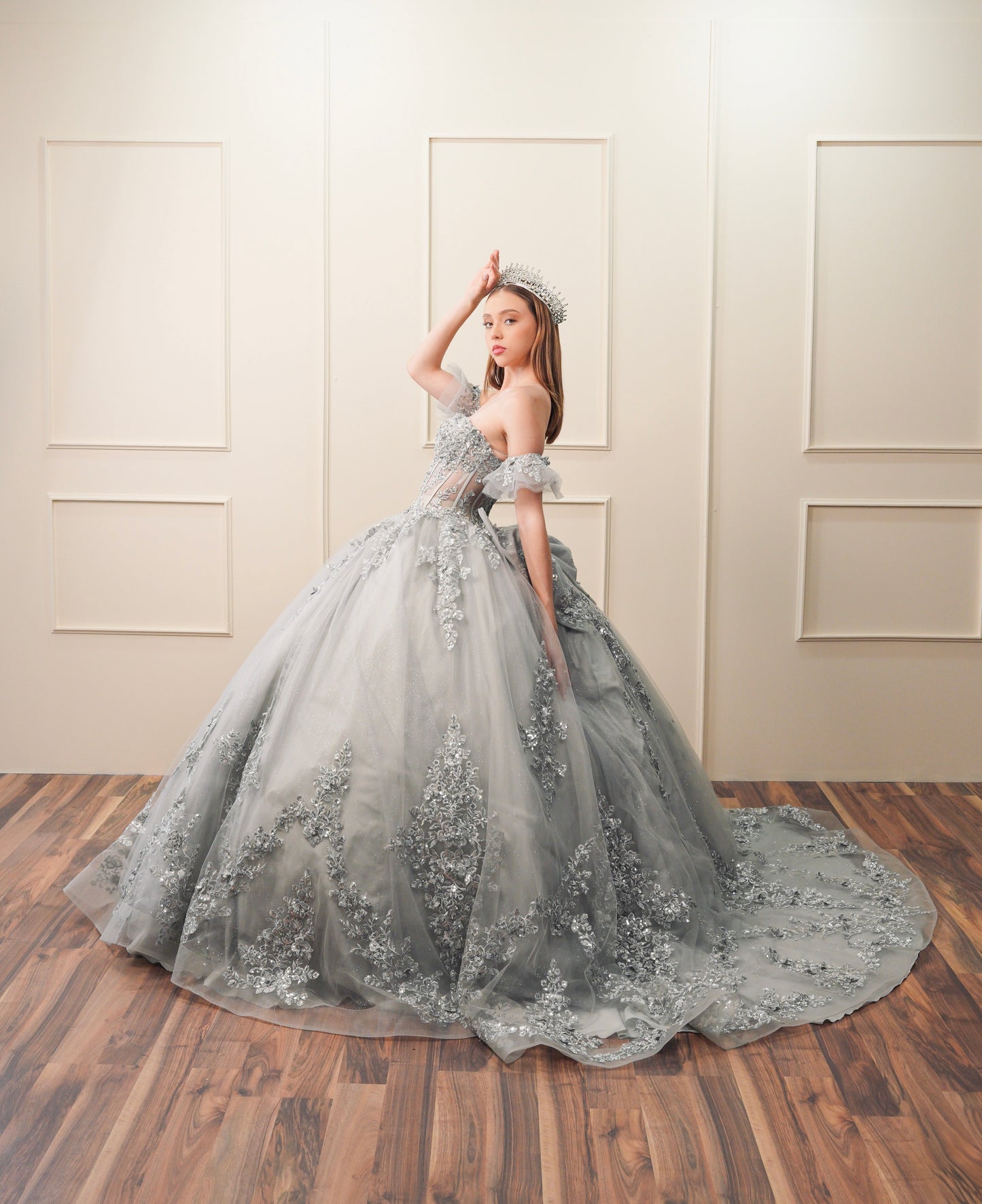 Vestido de XV Años Gris Bordado Plateado Mangas Amponas