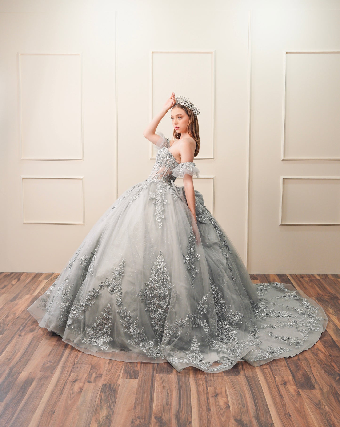 Vestido de XV Años Gris Bordado Plateado Mangas Amponas