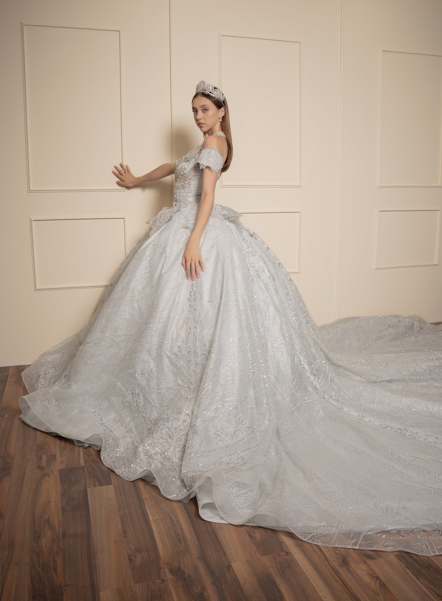 Vestido de XV Años  Vestido Plateado Glitter y Pedrería Manga Caída con Cauda