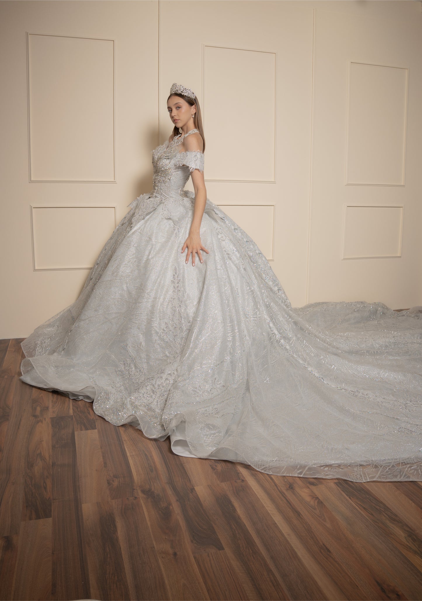 Vestido de XV Años  Vestido Plateado Glitter y Pedrería Manga Caída con Cauda