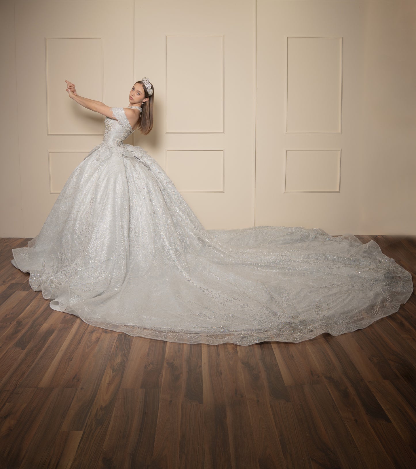 Vestido de XV Años  Vestido Plateado Glitter y Pedrería Manga Caída con Cauda