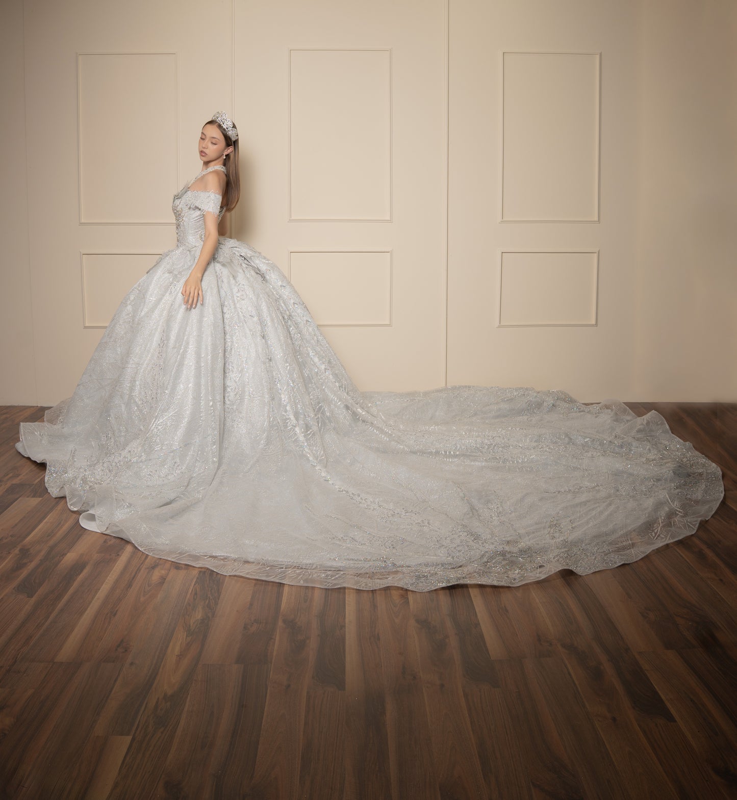 Vestido de XV Años  Vestido Plateado Glitter y Pedrería Manga Caída con Cauda