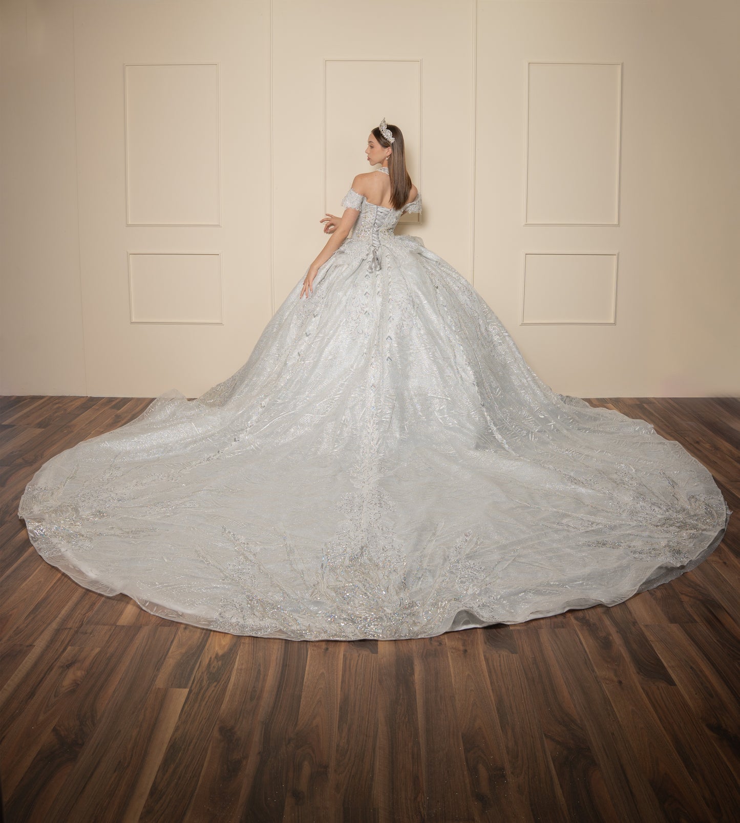 Vestido de XV Años  Vestido Plateado Glitter y Pedrería Manga Caída con Cauda