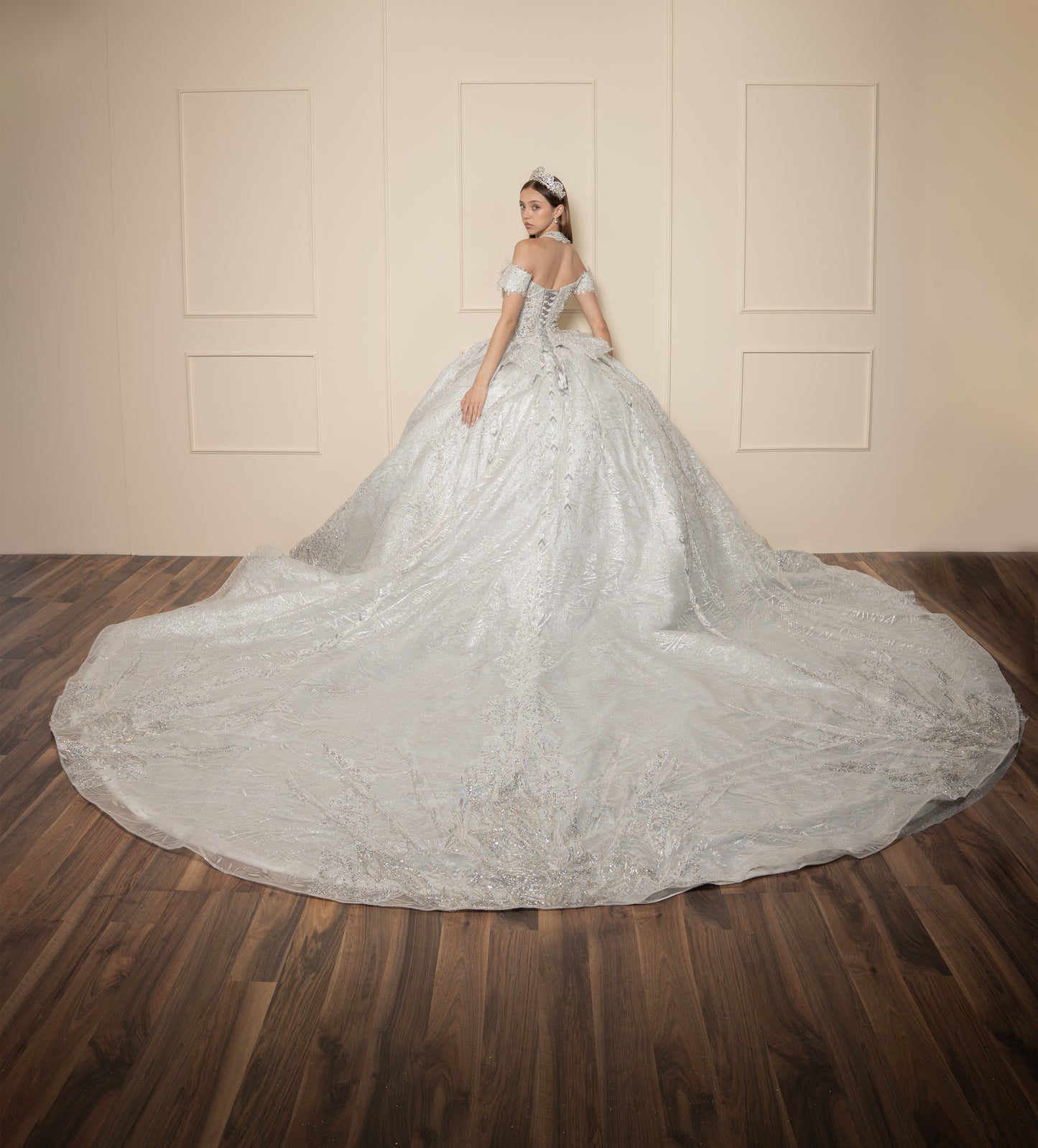 Vestido de XV Años  Vestido Plateado Glitter y Pedrería Manga Caída con Cauda