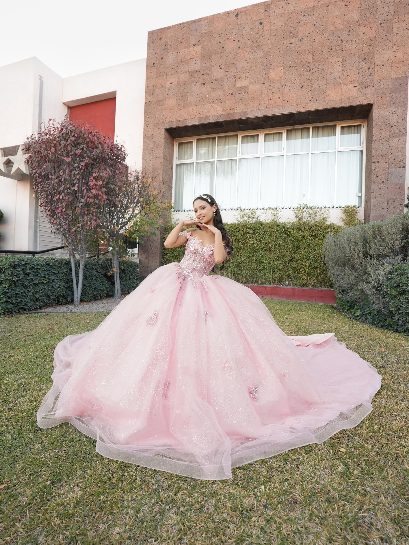 XV Minnie (Rosa) (Renta)