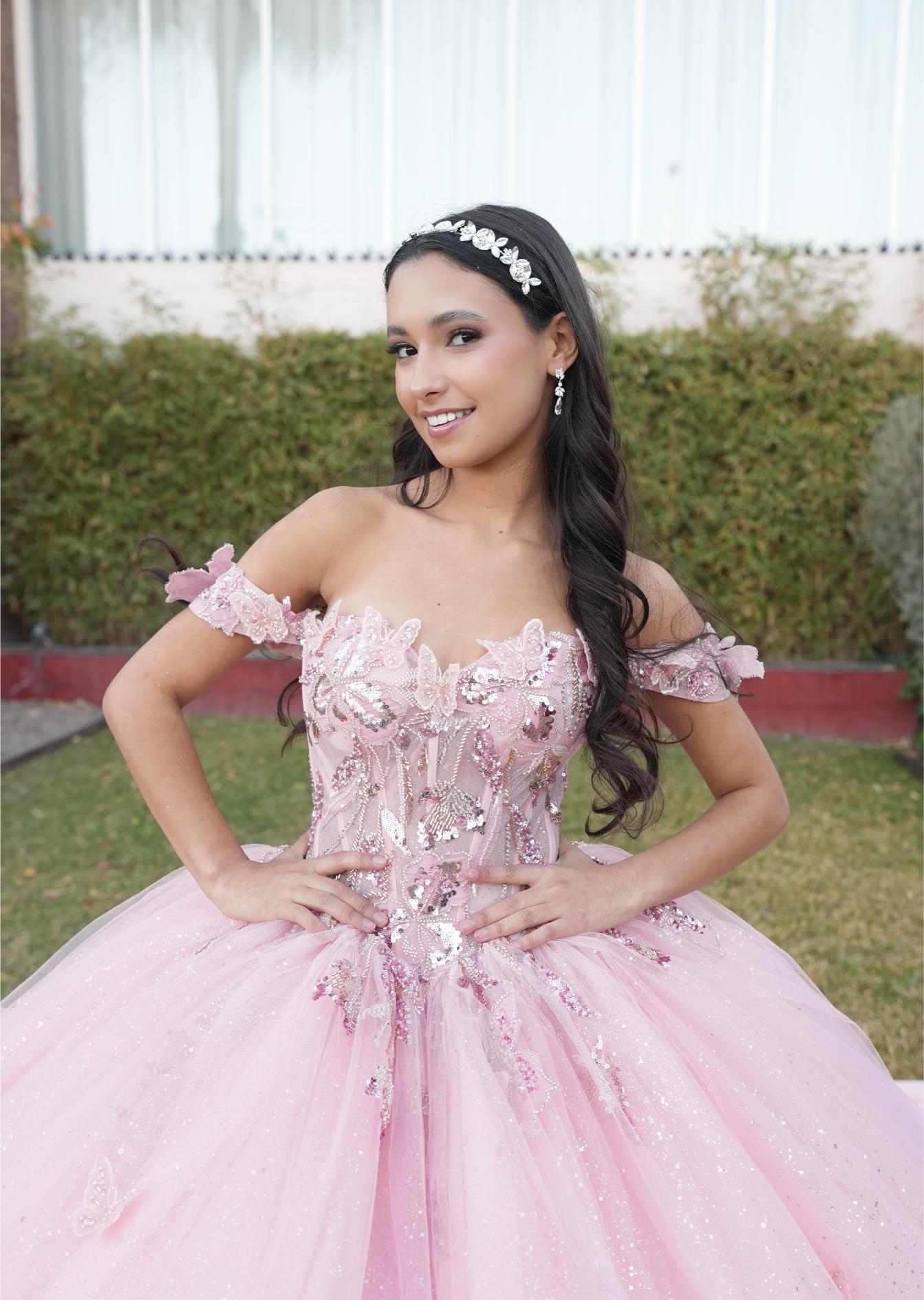 XV Minnie (Rosa) (Renta)