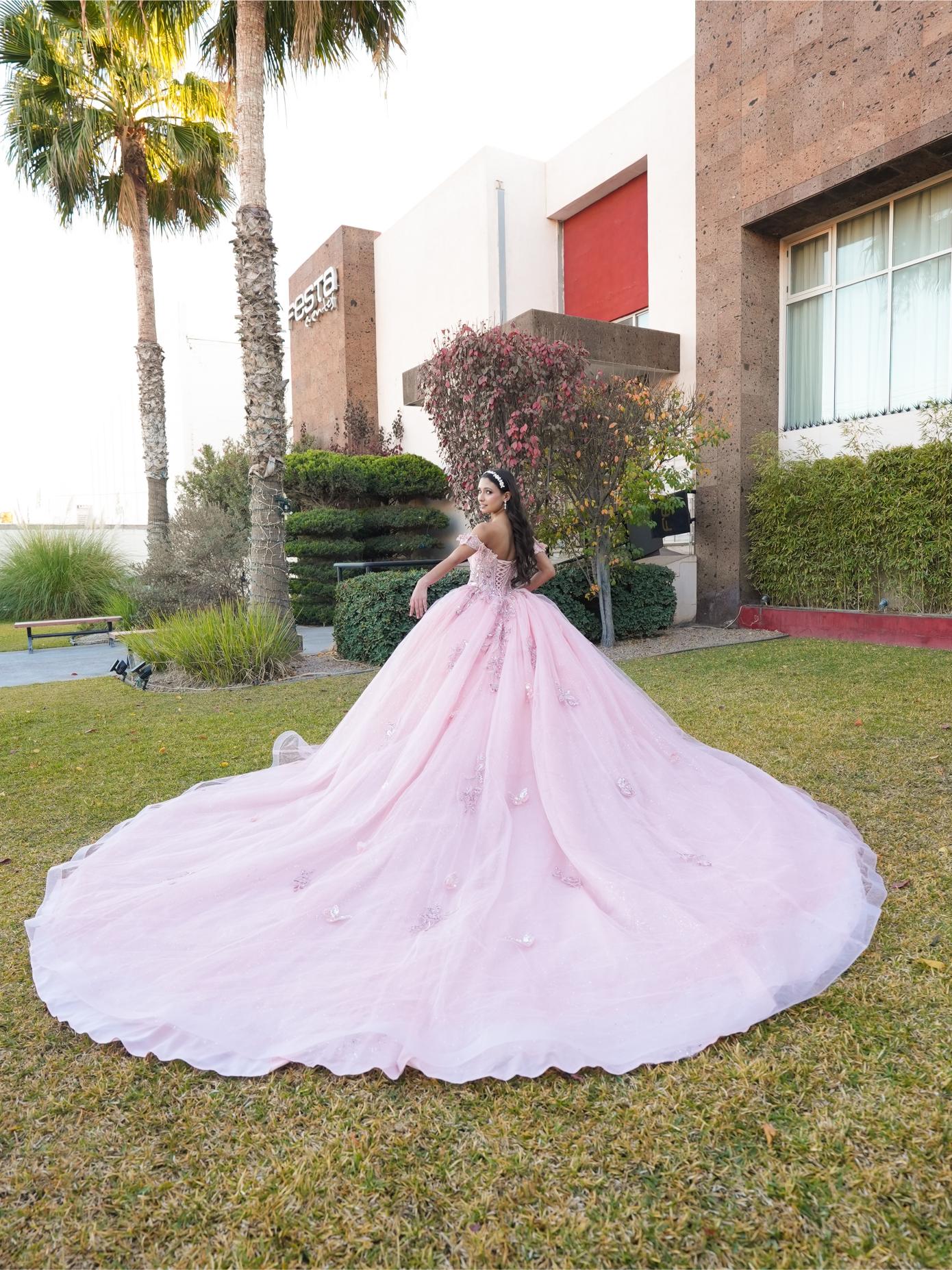 XV Minnie (Rosa) (Renta)