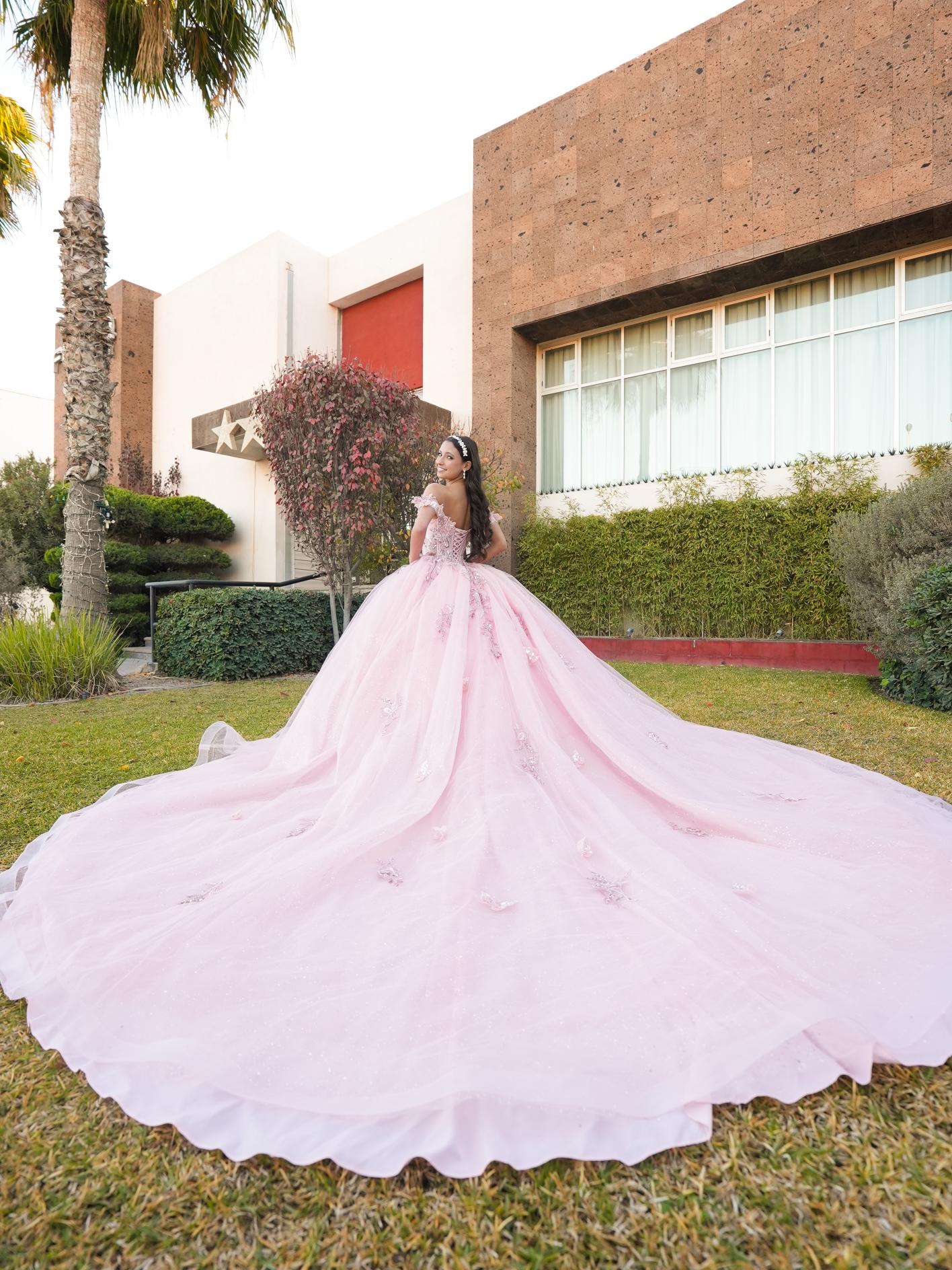 XV Minnie (Rosa) (Renta)