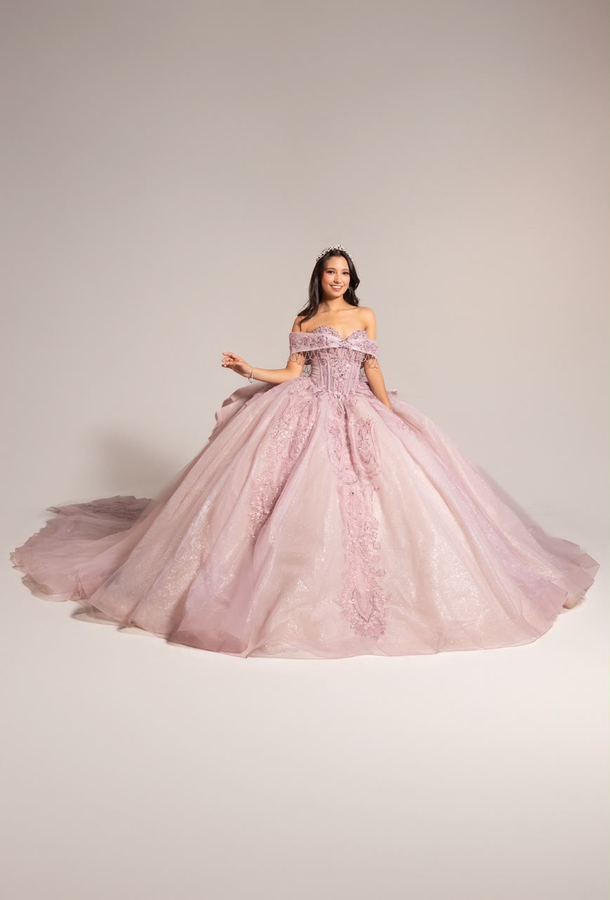 XV Anais (Rosa)