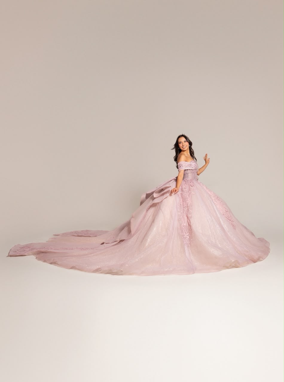 XV Anais (Rosa)