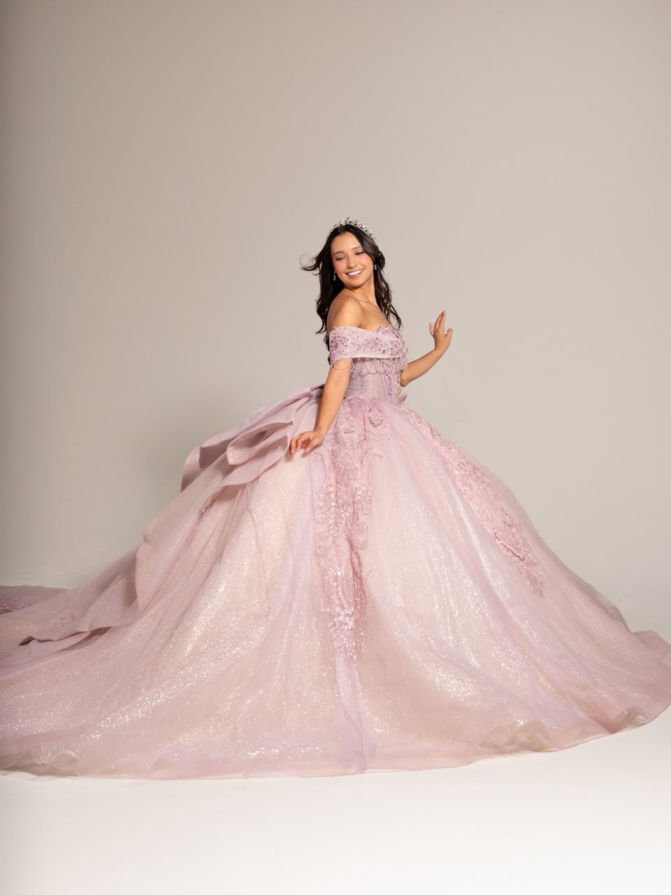 XV Anais (Rosa)