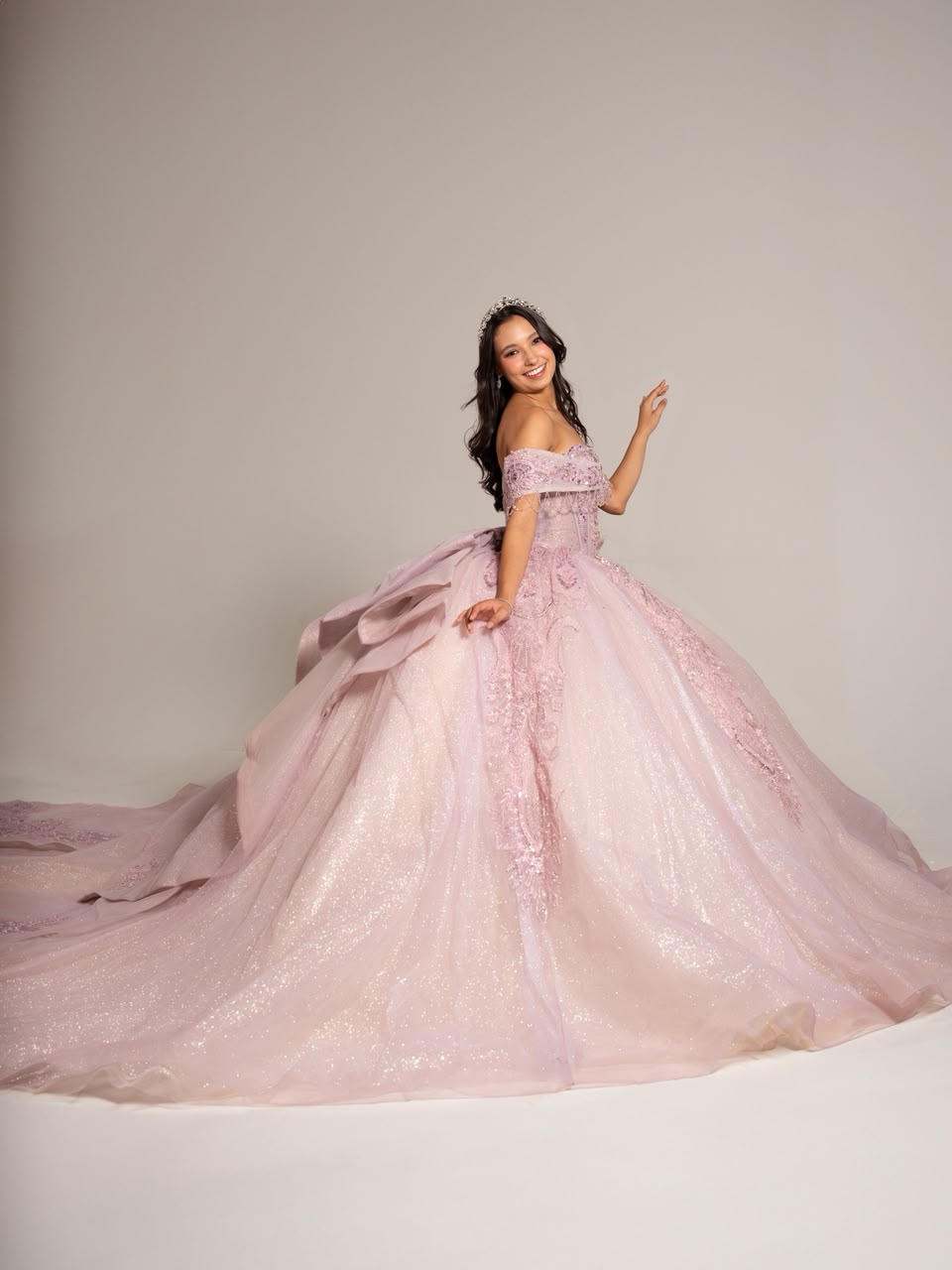 XV Anais (Rosa)