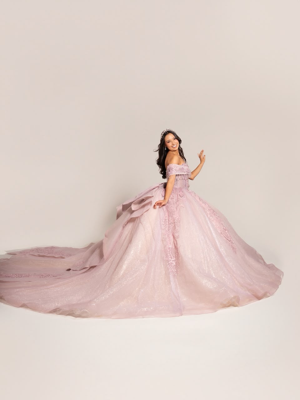XV Anais (Rosa)
